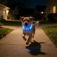 thumbnail image 1 of LED Dog Collar,USB Rechargeable Flash Dog Necklace Light Rechargeable Dog Lights for Night Walking,Reusable Safety Necklace for Small Medium Large Dogs, 1 of 6