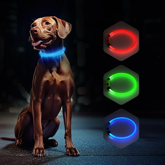 LED Dog Collar USB Rechargeable Glowing, Pet Collars Lighted Up Safety Necklace Glow in the Dark for You & Your Dogs (Blue)