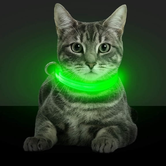 LED Dog Collar,USB Rechargeable Light Up Pet Collar for Small Dog,Glowing Safety Cat Collar with Adjustable Nylon Webbing High Visibility for Dogs & Cats (GREEN-1PACK)