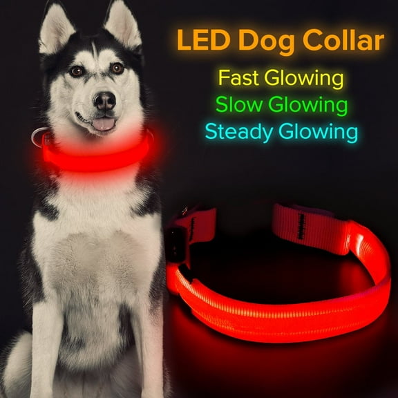 LED Dog Collar, USB Rechargeable Light Up Collar, Adjustable Mesh Webbing Flashing Pet Safety Collr for Your Small Medium Large Dogs-RED(2PACK)