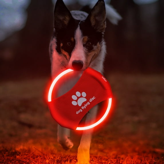 LED Dog Flying Disc, USB Rechargeable Glow Pet Toy for Night Fetch Training Chew-Proof Design 2 pack