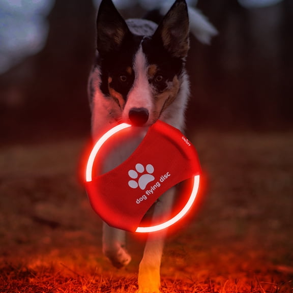 LED Dog Flying Disc, USB Rechargeable Glow Pet Toy for Night Fetch Training Chew-Proof Design 2 pack