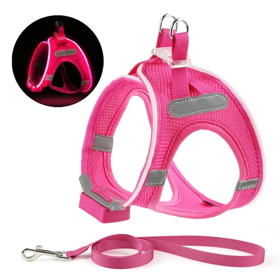 LED Dog Harness Rechargeable, Lighted Dog Vest Harness for Night Walking,Reflective Safety Vest for Small Dogs,Adjustable Soft Mesh