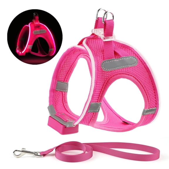 LED Dog Harness Rechargeable, Lighted Dog Vest Harness for Night Walking,Reflective Safety Vest for Small Dogs,Adjustable Soft Mesh