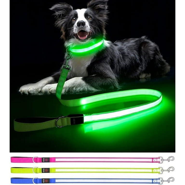 LED Dog Leash Enhance Safety and Visibility Reflective 4 FT Leash with Padded Handle USB Rechargeable Light Up Leash for Dogs Glow in The Dark Green Walmart