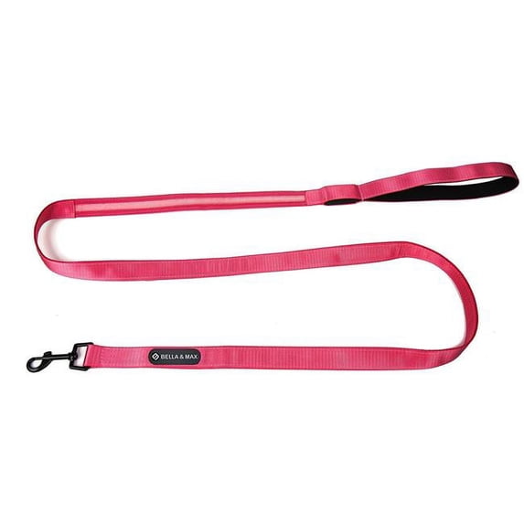 LED Dog Leash - Pink - 6 ft.