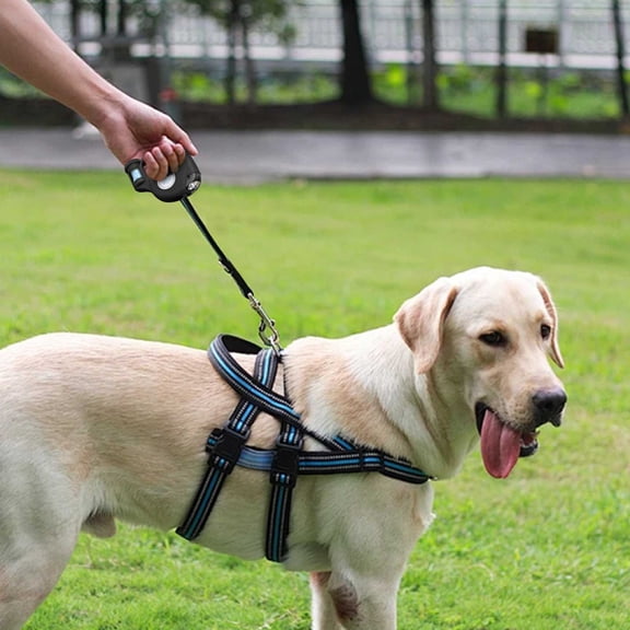 LED Dog Leash with Waste Bag Dispenser Retractable Reflective Outdoor Leash for Night Visibility ABS Material - Leashes, 16X16X4.5 cm, Black