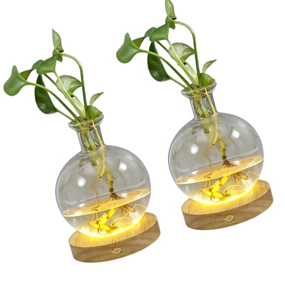 LED Enhances Hydroponic Vases For Plant Propagation And Night Light Decoration