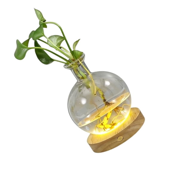 LED Enhances Hydroponic Vases For Plant Propagation And Night Light Decoration
