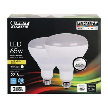 LED FEIT BR40 65W EQ SW
