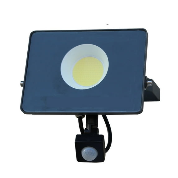 LED Floodlight LED PIR Induction Lamp 30W 50W 100W Indoor And Outdoor Corridor Path Projector Movement Sensor Flood Lighting ,Power Saving