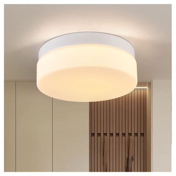 LED Flush Mount Ceiling Light, 24W 12 Inch Round LED Ceiling Fixture - Kitchen, Bathroom, Bedroom, Hallway - 3 Color Temperature, Energy Saving