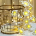 thumbnail image 1 of LED Frangipani String Lights, Battery Operated Fairy Lights, Heart Shaped Room Decor, Girls Bedroom Ambient Lighting, Party Holiday Photo Backdrop, 1 of 6