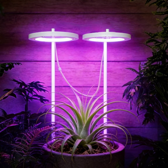 LED Grow Light Ring for Indoor Plants, QQZ USB Powered Lamp with Timer, 360 Degree Circular Lighting for Succulents Herbs Desk Shelf Garden, Purple