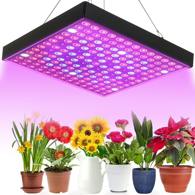 LED Grow Lights, 2000/3000W Growth Lights, 81/169LEDs, Full Spectrum ...