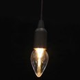 thumbnail image 1 of LED Hanging Lights Vintage Outdoor Camping Light For Outdoor Enthusiasts 19.5X6Cm Illumination 1Pcs, 1 of 5