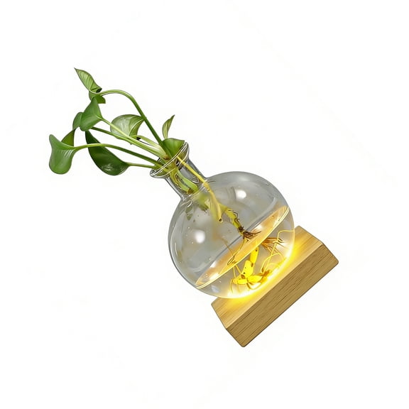 LED Illuminated Hydroponic Glass Vases For Observing Root Propagation And Creating Night Ambiances