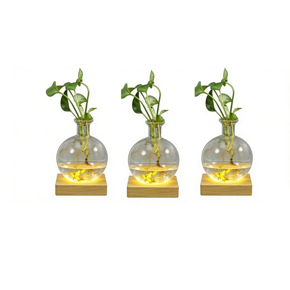 LED Illuminated Hydroponic Glass Vases For Observing Root Propagation And Creating Night Ambiances