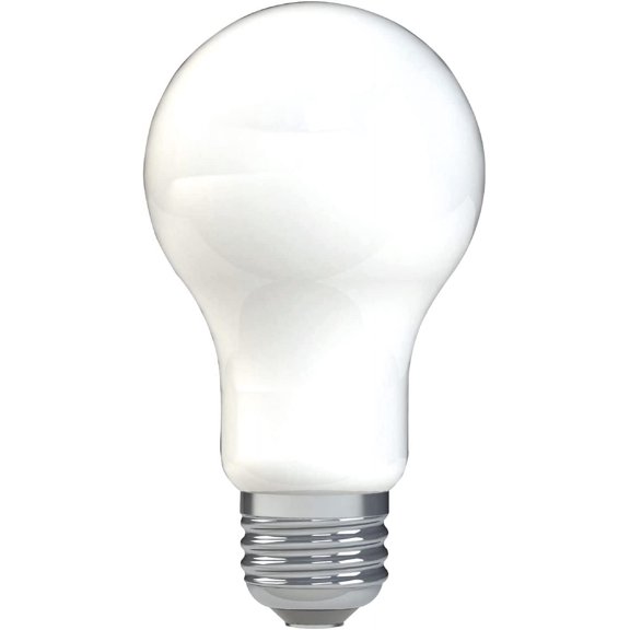 LED Light Bulbs, 100 Watt, Daylight, A19 (2 Pack)