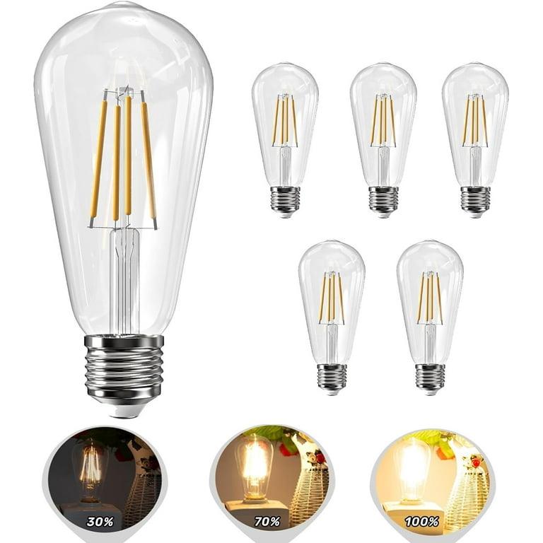 3000k edison led bulb 2025