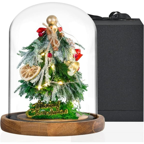 LED Light Christmas Tree in Glass Dome,Preserved Christmas Tree Creative Centerpiece Decoration Gift for Mom Girlfriend Women