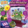thumbnail image 1 of LED Light Cube Terrarium, Mini-Meadow, 1 of 3