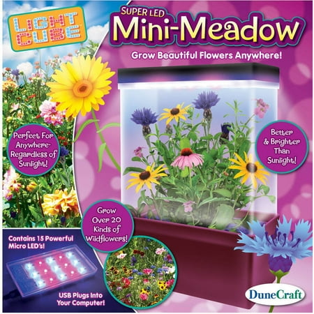 LED Light Cube Terrarium, Mini-Meadow