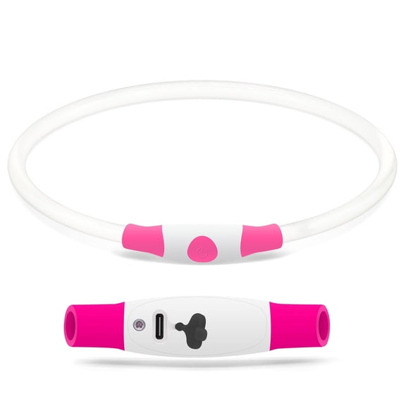LED Light up Dog Collar, Type C USB Rechargeable Flash Dog Necklace Light, Pet Safety Collar Makes Your Beloved Dogs Be Seen at Night for Small Medium Large Dogs