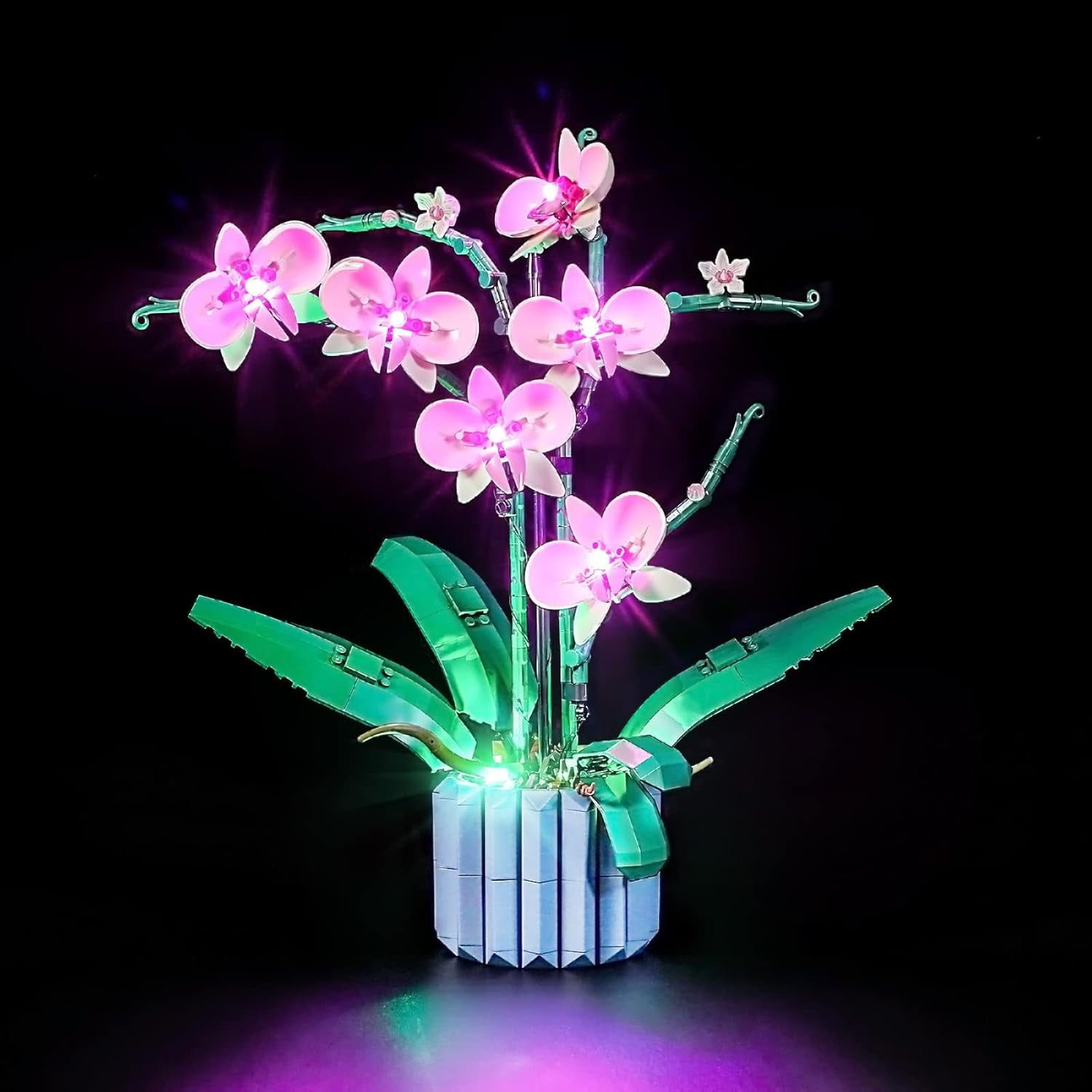LED Light Kit for Lego - Creator Orchid Building Blocks Model, LED Light Set Compatible with 10311(Lego Set NOT Included)