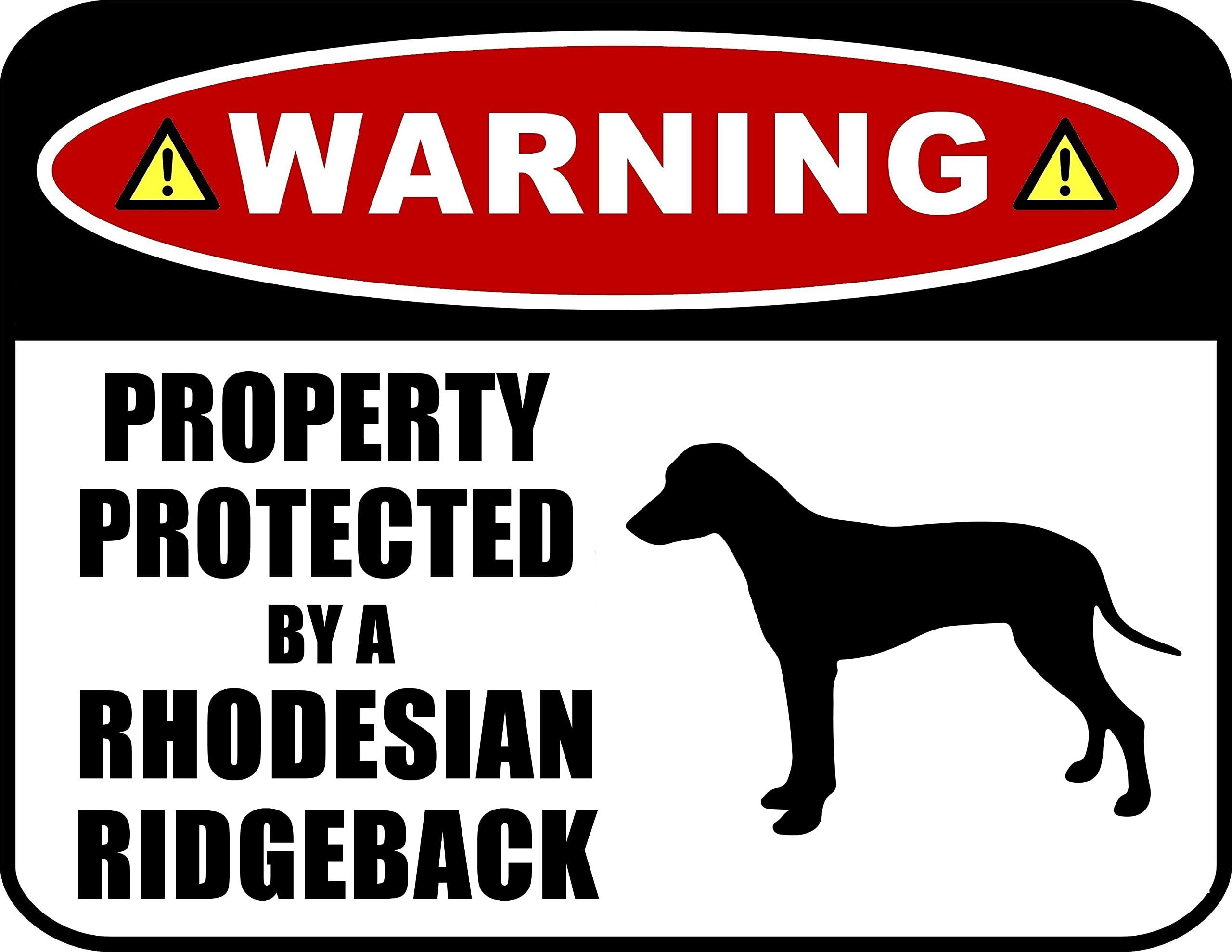 LED Light Up Red Flashing Blinking Attention Grabbing Laminated Dog ...