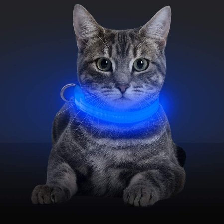 LED Light Up Cat Collar