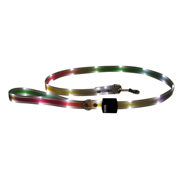 LED Light-Up Dog & Cat Collar and Leash Set, Visible Up to 500m at Night, USB Rechargeable, 3 Adjustable Settings, Waterproof,WH,Leash
