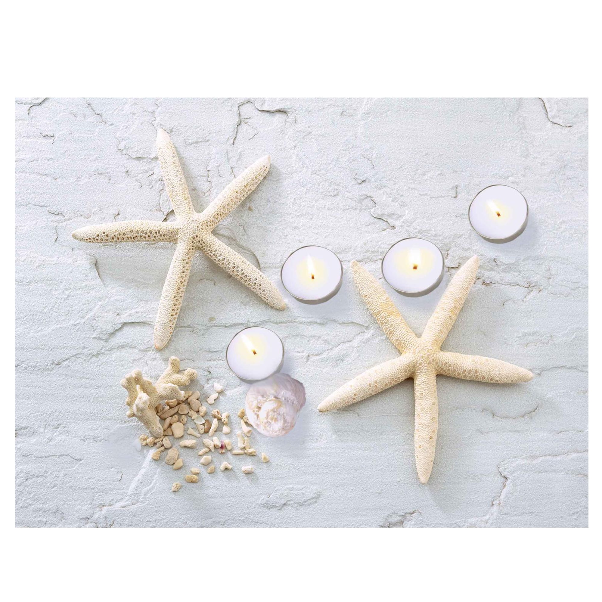 LED Lighted Starfish Seashell and Tea Light Candles Canvas Wall Art 11.75" x 15.75"