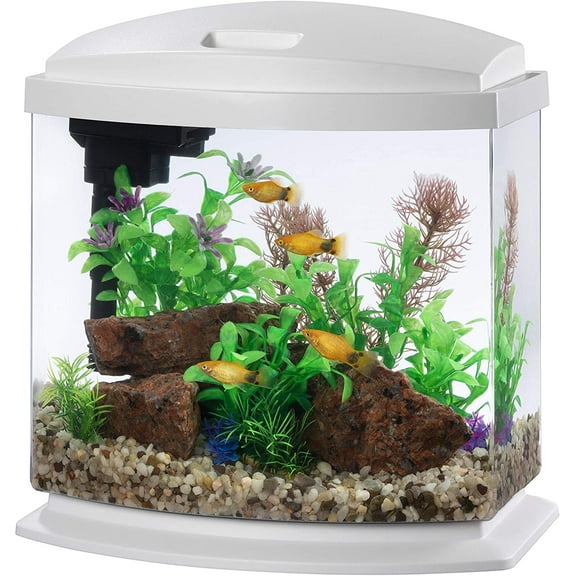 LED MiniBow Small Aquarium Fish Tank Kit with SmartClean Technology, 2.5 Gallon