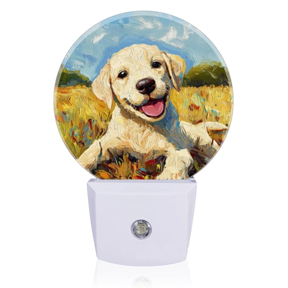 Light Sensor of LED Night Light, Gorgeous Sunlit - Field Puppy Night Light Plug Into Wall for Kids Room, Bedroom, Bathroom, Kitchen
