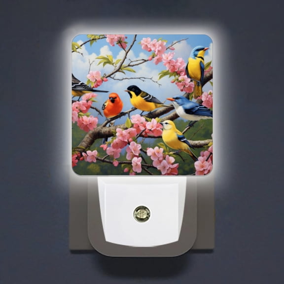 LED Night Lights Lamp with Dusk to Dawn Sensor, Group Of Colorful Birds Perched On The Branches Night Light Plug Into Wall for Kids Room, Bedroom, Bathroom, Kitchen, Hallway