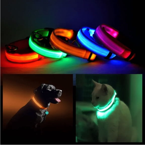 LED Pet Safety Halo Collar — Rechargeable Visibility Collar for Dogs & Cats, Lightweight & Adjustable