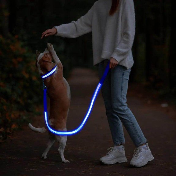 LED Rechargeable Dog Leash