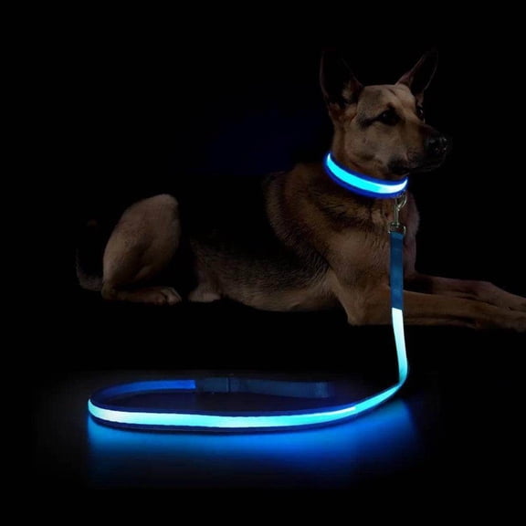 LED Rechargeable Dog Leash