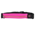 thumbnail image 1 of LED Reflective Running bag with USB Rechargeable Light, Reflective Running Gear for Men, Women - pink, 1 of 5
