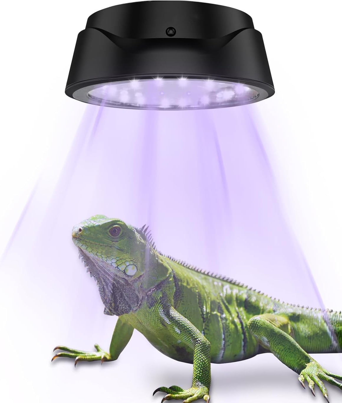 LED Reptiles Light with Remote, UVA UVB FR Lamp for Rainforest & Desert Reptiles, Timer Switch, Dimmable, for Bearded Dragon, Turtle, Frog, Snake, Plant