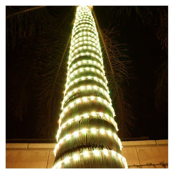 LED Rope Lights Festival Holiday Party Seasonal Christmas Decoration 30ft - 200ft Customized Available (Warm White, 10)
