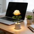 thumbnail image 1 of LED Rose Night Light – Flower Lamp with Blooming Effect, Romantic Pink Flower Table Lamp for Bedrooms, Valentine’s Day Gift & Home Decor, 1 of 6