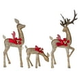thumbnail interactive-video image 1 of Indoor/Outdoor Light-Up Glitter Deer Family Christmas Decoration with 210 LED Lights, Warm White, Set of 3, by Holiday Time, 1 of 6