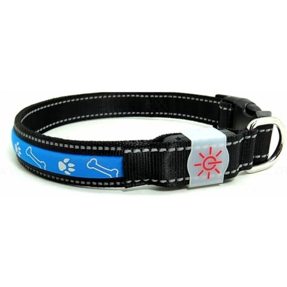 LED Safety Light Up Dog Collar, USB Rechargeable, Waterproof, Visible up to 1000 ft, 2 Colors, 3 Sizes, 3 Setting (Steady, Slow Flashing, Fast Flashing) (Medium, Red)