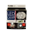 thumbnail image 1 of LED Secret Storage Lamp, 1 of 4