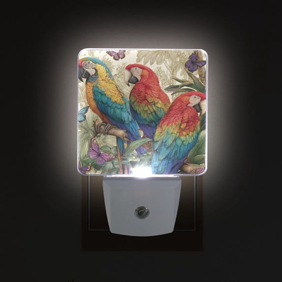LED Sensor Night Light Auto On/Off Dusk to Dawn Lamp for Bedroom Hallway Colorful Beautiful Parrots 2 Pack