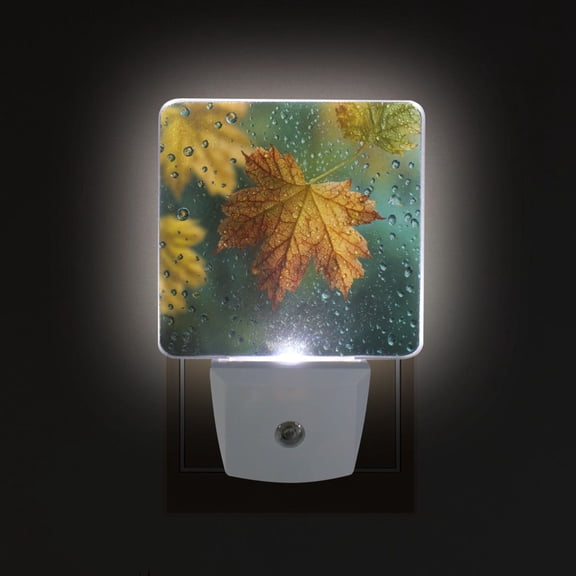 LED Sensor Night Light Auto On/Off Dusk to Dawn Lamp for Bedroom Hallway Leaves with Water Droplets 2 Pack