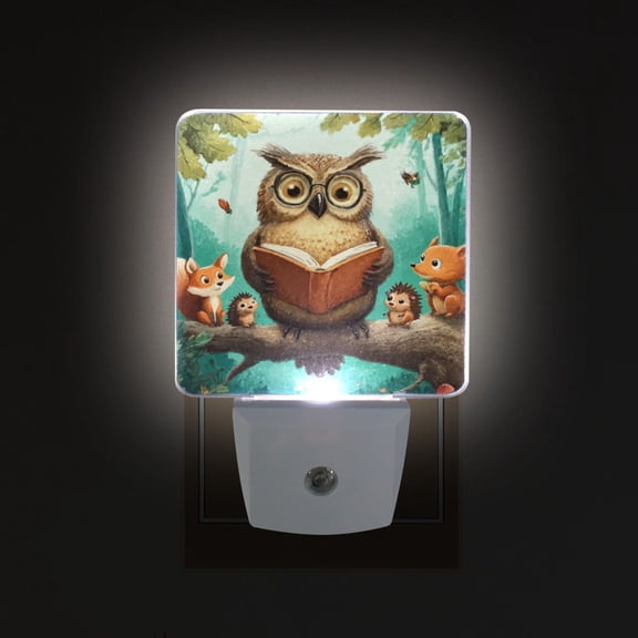 LED Sensor Night Light Auto On/Off Dusk to Dawn Lamp for Bedroom Hallway Owl Wearing Glasses 2 Pack