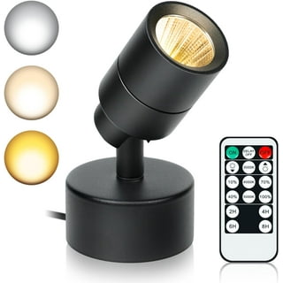 Inside Spotlight